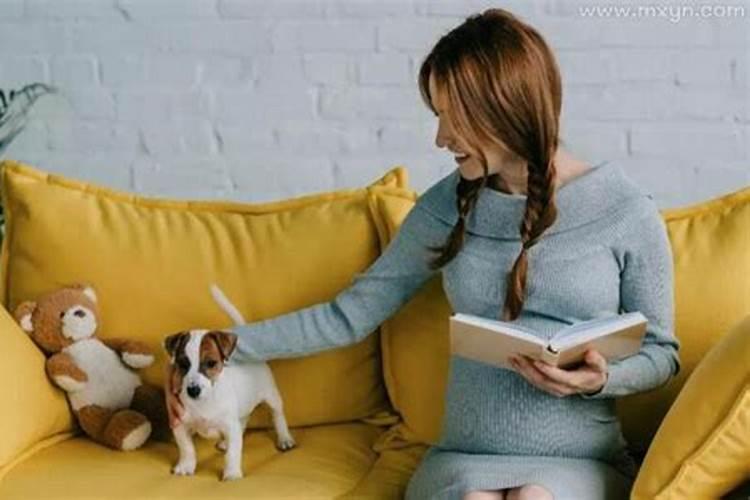 孕妇梦见狗咬自己是什么意思呀？孕妇梦见狗咬自己是什么预兆
