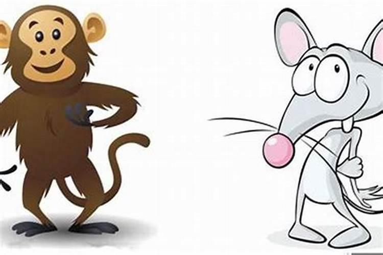 男属鼠和女属猴相配婚姻如何
