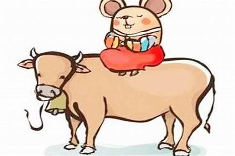 牛和鼠相配婚姻如何呢