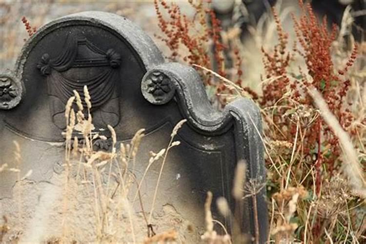 梦见很多亲人的坟墓是什么预兆