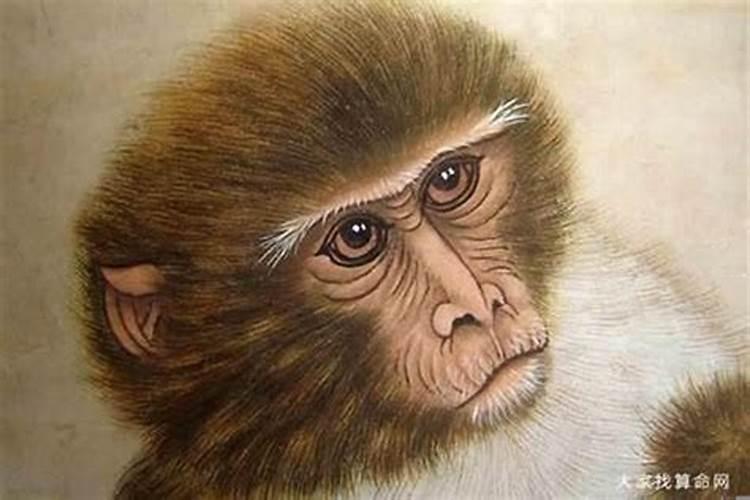 属猴1980年出生2023年运程