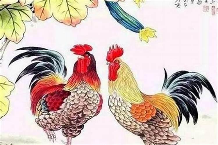鸡和鸡属相能婚配吗，男属鸡和女属鸡能相配吗