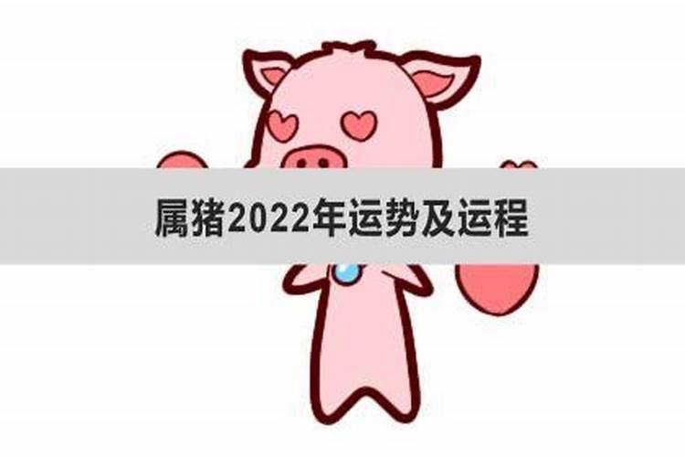 1959年属猪在2022年运势