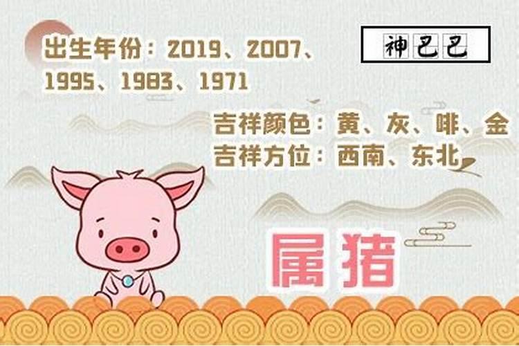 76属猪哪年出生