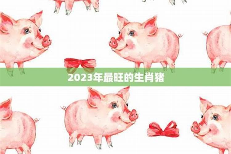 2023年属猪人的全年运势1971出生