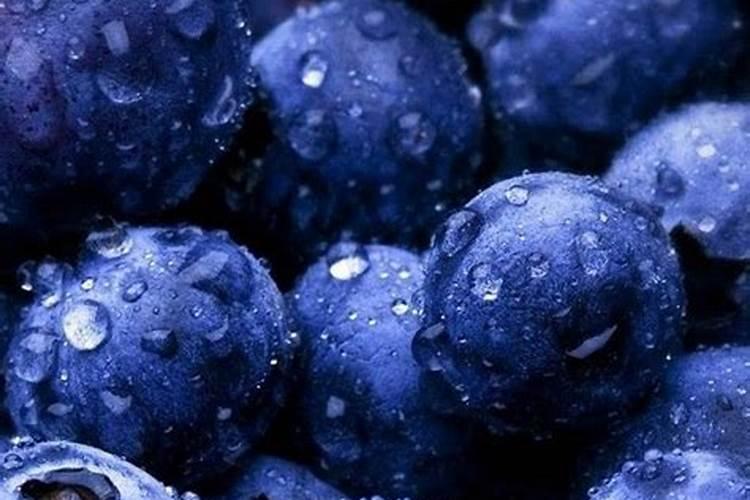 梦见吃蓝莓是什么意思