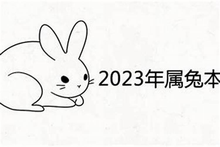 属兔2023年本命年犯太岁怎么破解