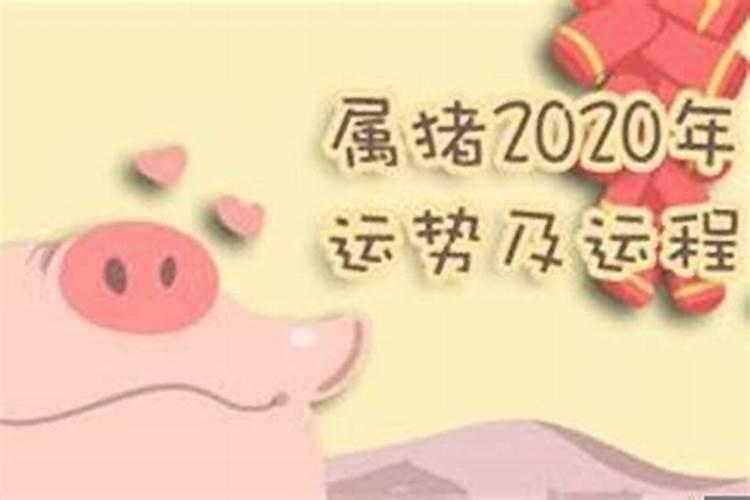 猪年各生肖运势2023年运程