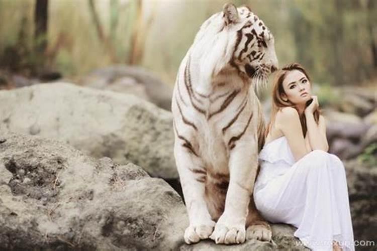 女人梦见老虎但没有伤害自己