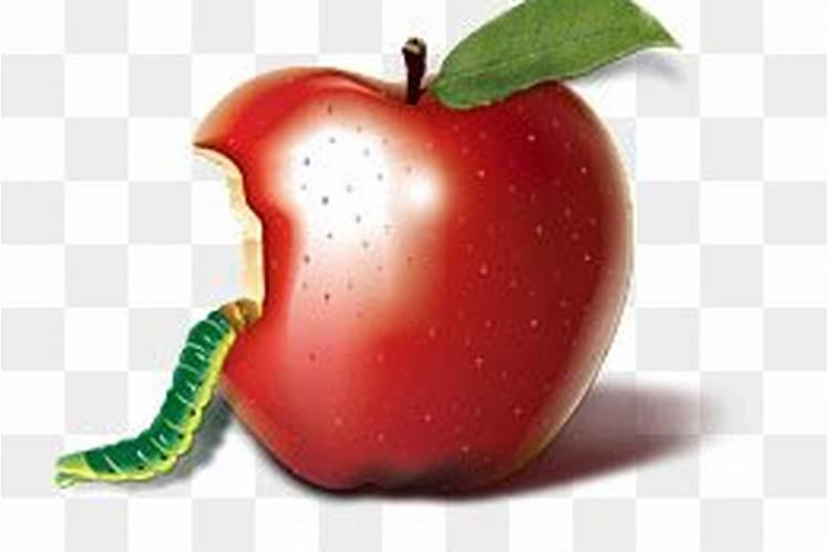 梦到自己吃有虫子的苹果