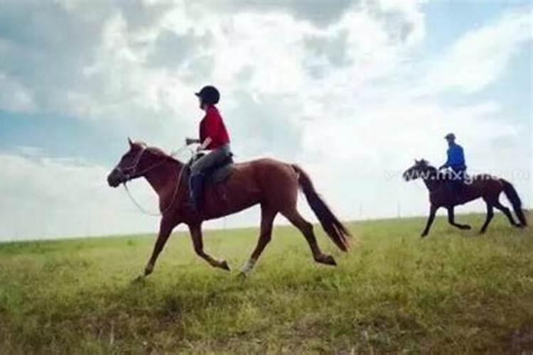 梦见马奔跑是什么预兆女性