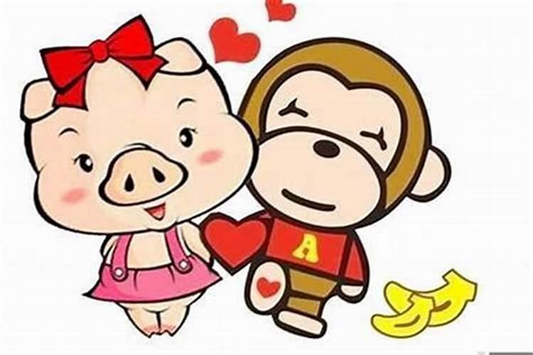 猪猴配的婚姻