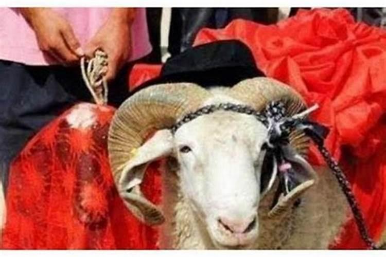 属羊的女跟属马的男适合结婚吗