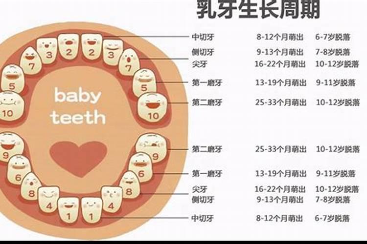 孕妇梦见婴儿长牙齿预示着什么意思