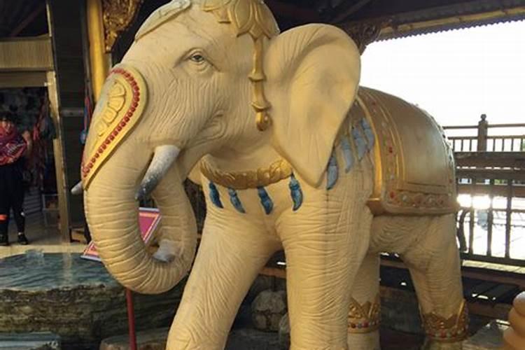 家里放大象的寓意和象征 梦到大象和水是什么意思周公解梦
