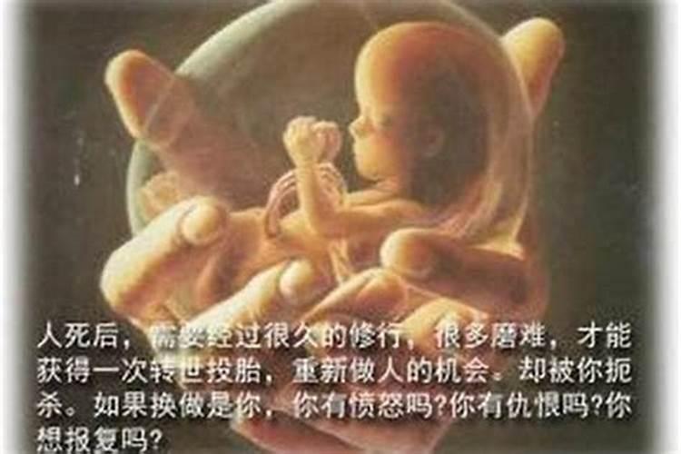 怎么堕胎婴儿超度