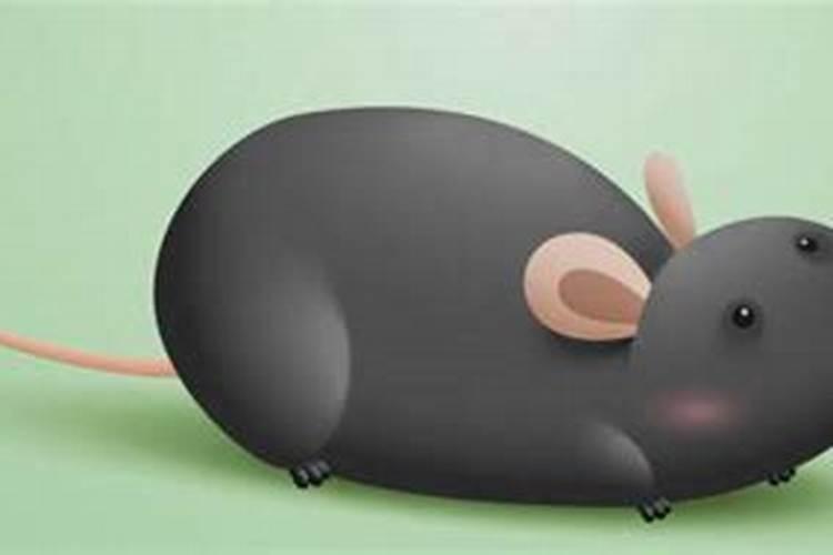 梦见床上一窝小老鼠是什么意思？