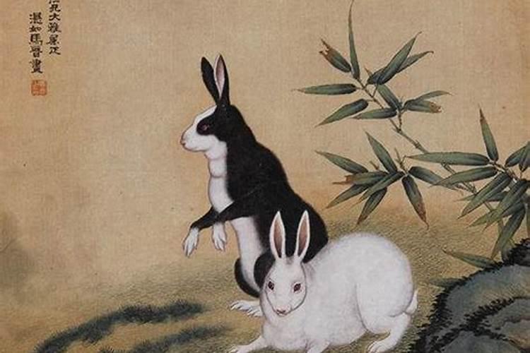 兔男与马女属相婚姻相配(属兔和属马合婚好不好)