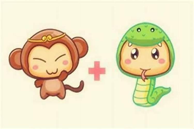 属蛇男和属猴女的婚姻怎么样？属猴男和属蛇女合婚吗